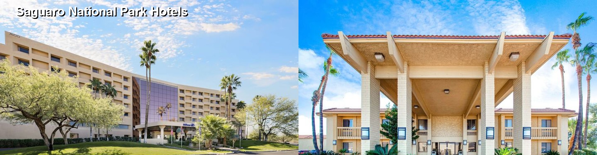 3 Best Hotels near Saguaro National Park