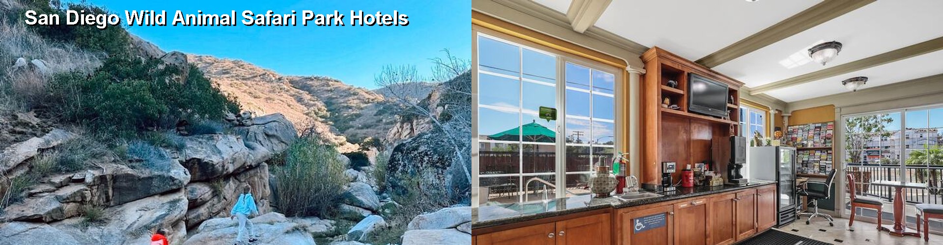 3 Best Hotels near San Diego Wild Animal Safari Park