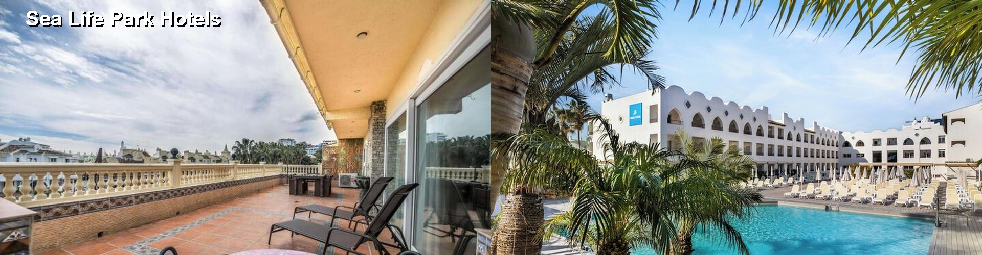 3 Best Hotels near Sea Life Park