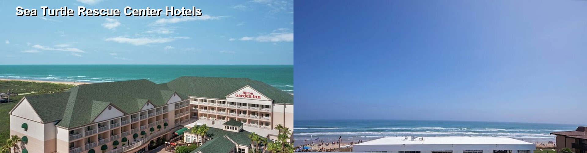 4 Best Hotels near Sea Turtle Rescue Center