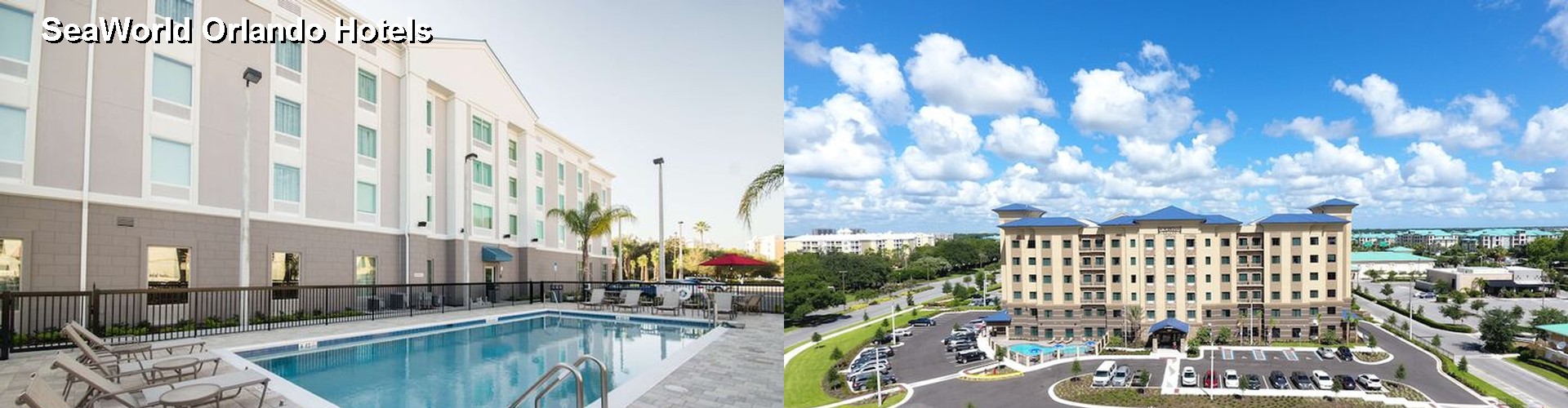 5 Best Hotels near SeaWorld Orlando