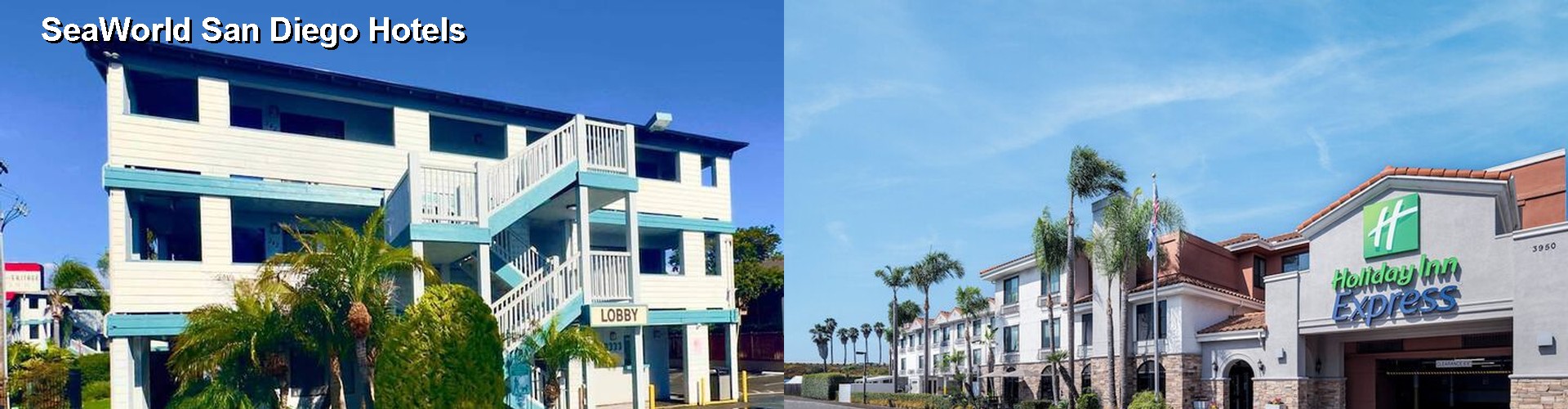 3 Best Hotels near SeaWorld San Diego