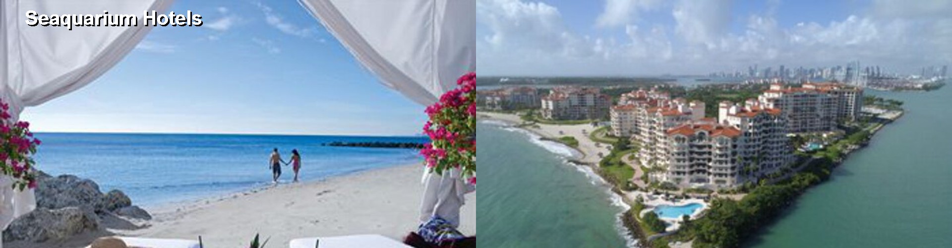 5 Best Hotels near Seaquarium