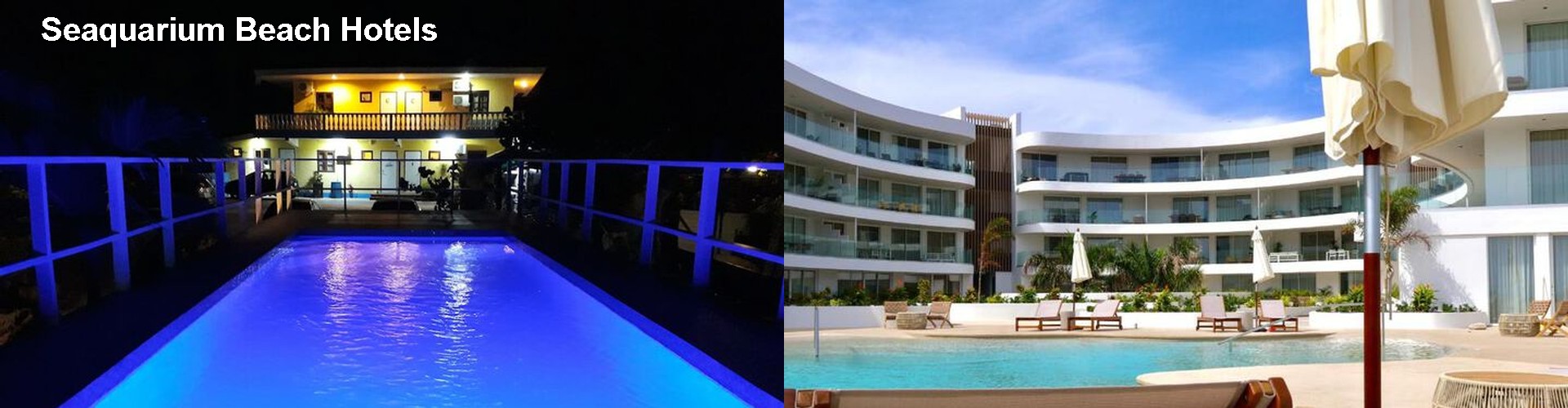 5 Best Hotels near Seaquarium Beach
