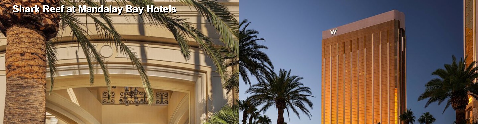 5 Best Hotels near Shark Reef at Mandalay Bay