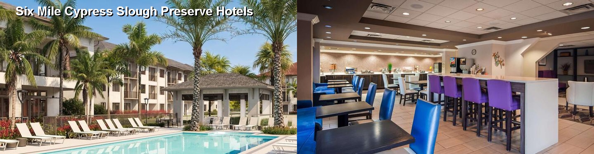 5 Best Hotels near Six Mile Cypress Slough Preserve