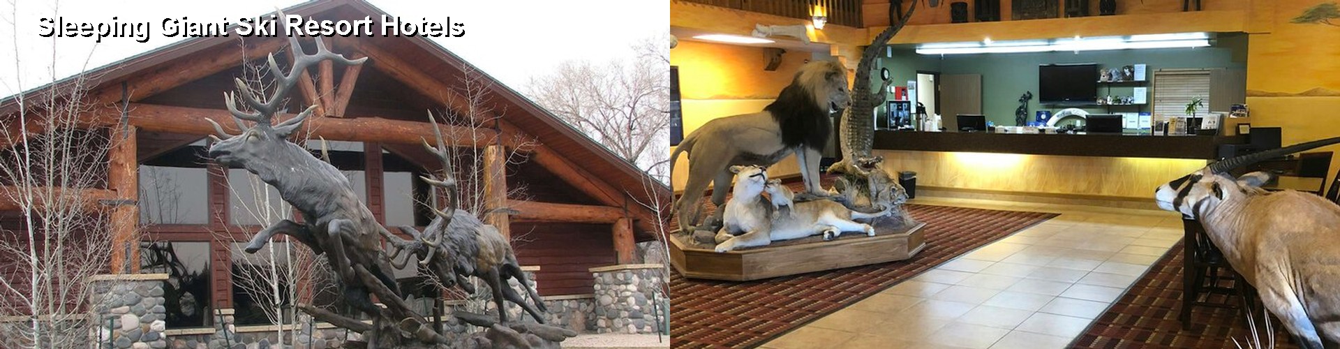 5 Best Hotels near Sleeping Giant Ski Resort