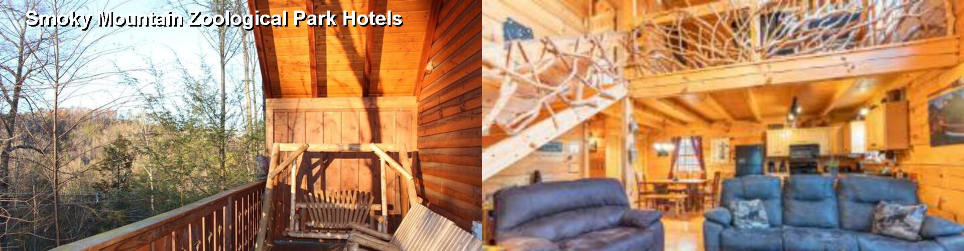 5 Best Hotels near Smoky Mountain Zoological Park