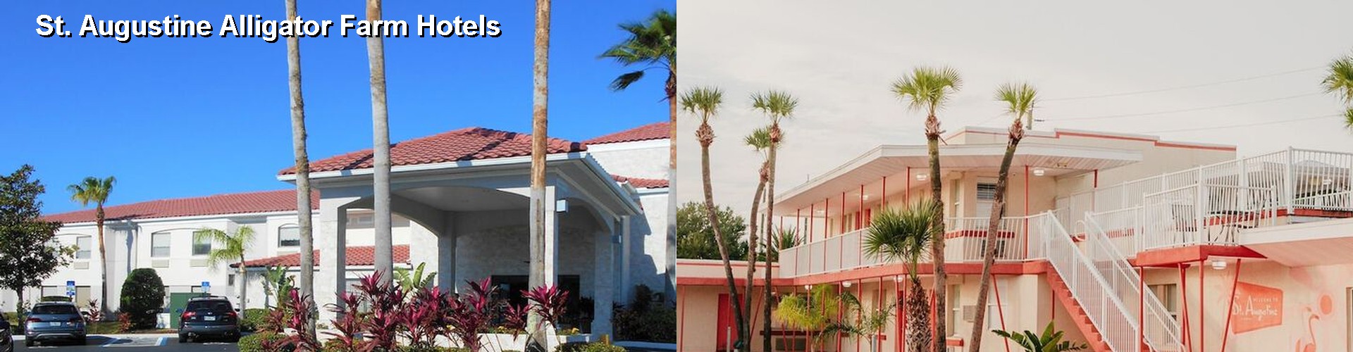 5 Best Hotels near St. Augustine Alligator Farm