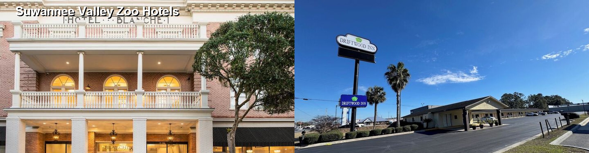 5 Best Hotels near Suwannee Valley Zoo