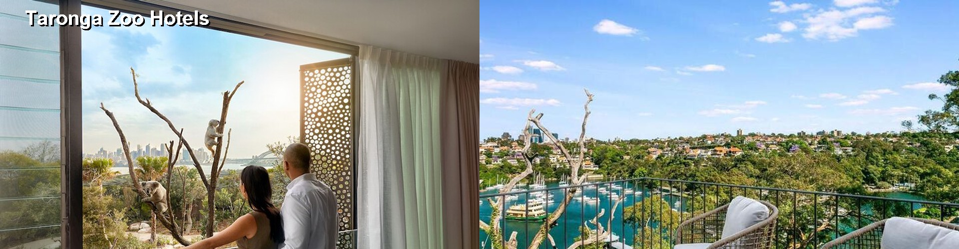 3 Best Hotels near Taronga Zoo