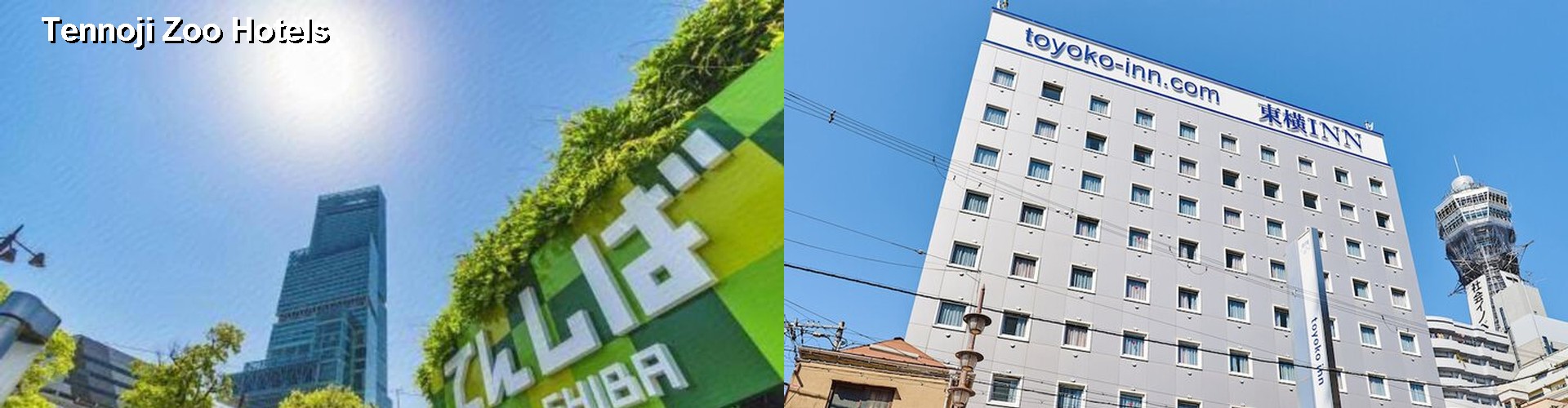 4 Best Hotels near Tennoji Zoo