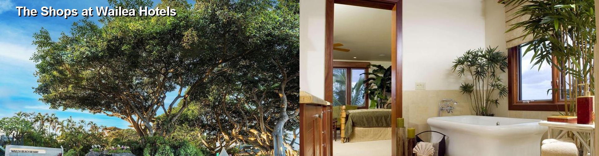 3 Best Hotels near The Shops at Wailea