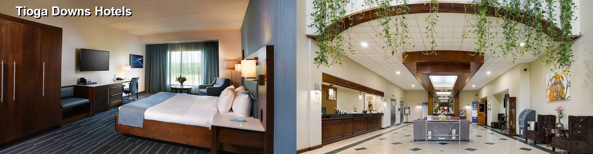 5 Best Hotels near Tioga Downs