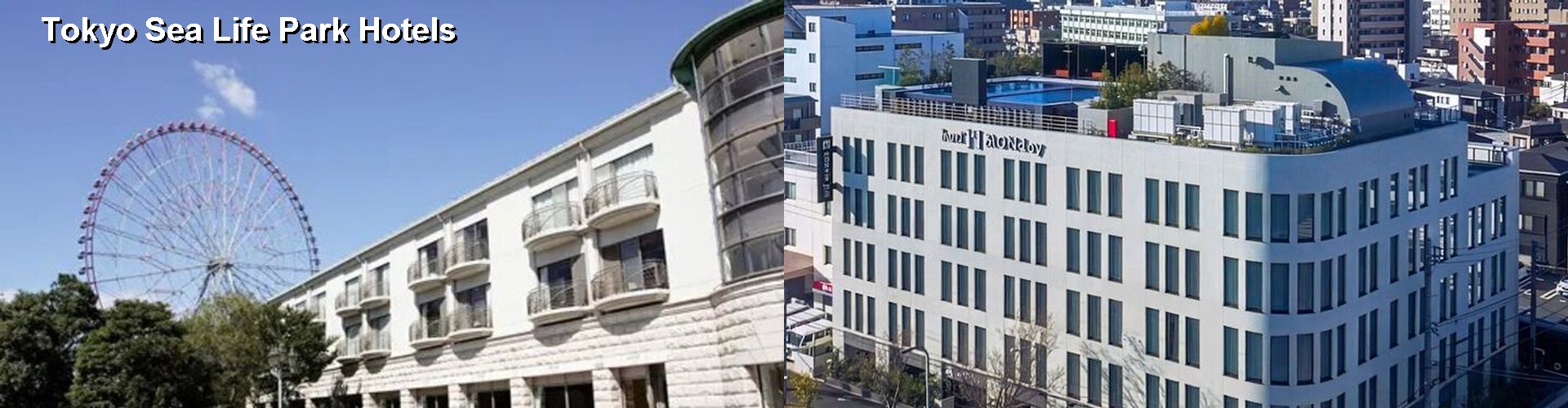 5 Best Hotels near Tokyo Sea Life Park