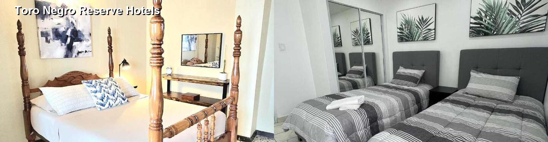 5 Best Hotels near Toro Negro Reserve