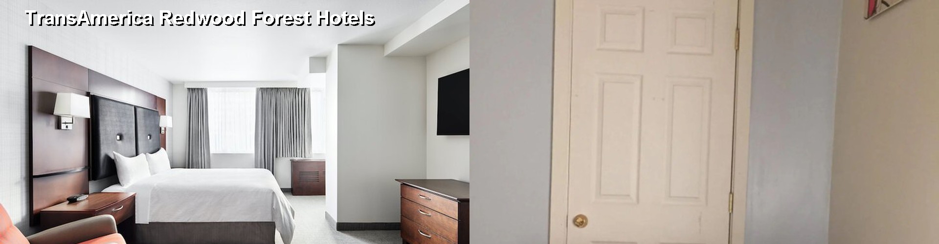 5 Best Hotels near TransAmerica Redwood Forest