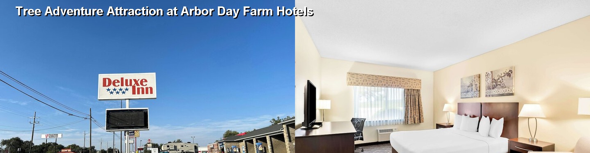 5 Best Hotels near Tree Adventure Attraction at Arbor Day Farm