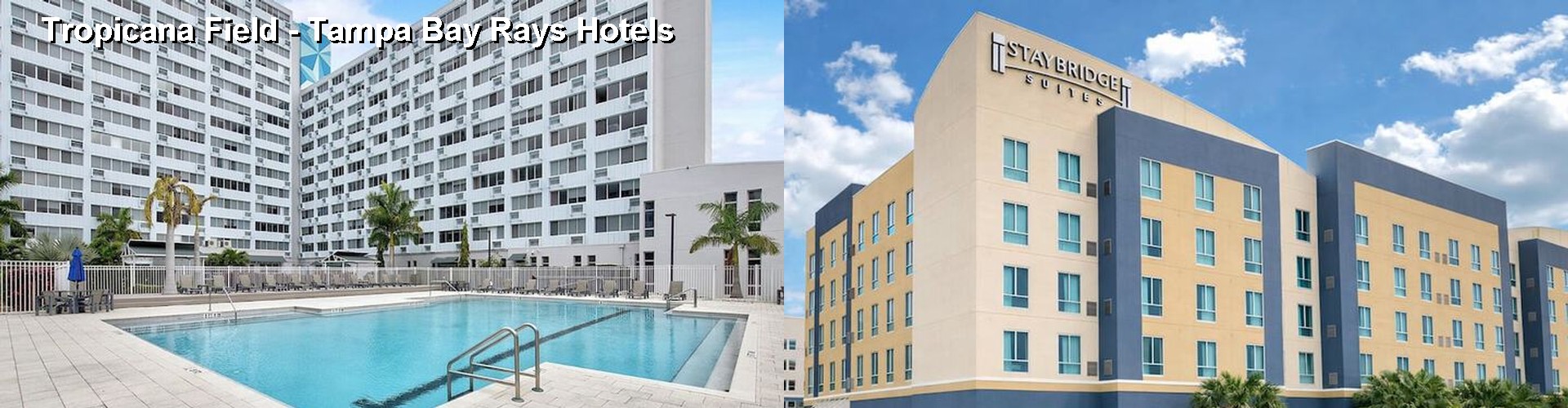 4 Best Hotels near Tropicana Field - Tampa Bay Rays