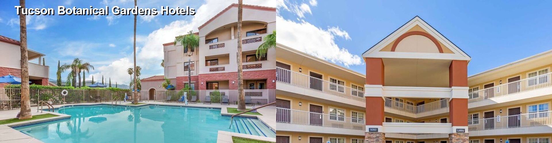 5 Best Hotels near Tucson Botanical Gardens