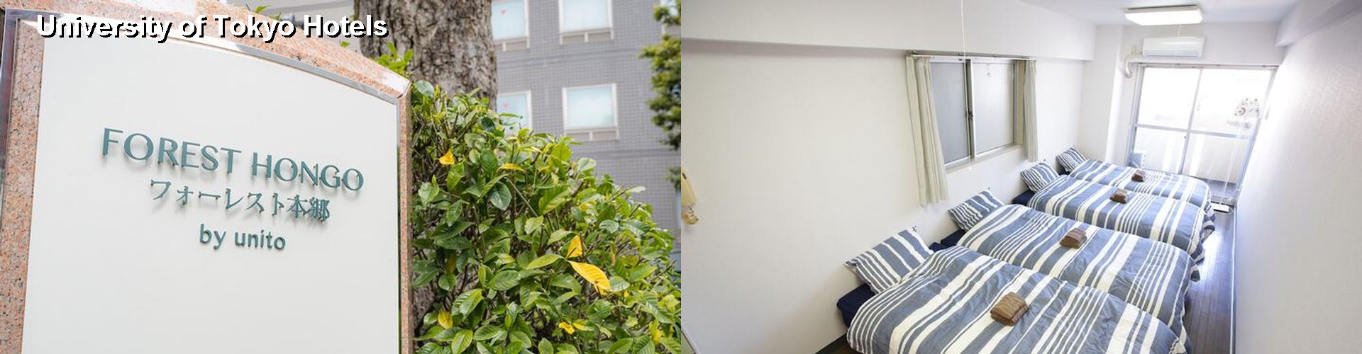 1 Best Hotels near University of Tokyo