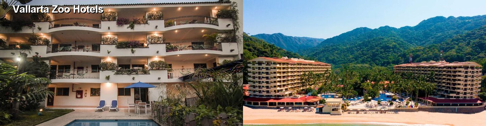 2 Best Hotels near Vallarta Zoo