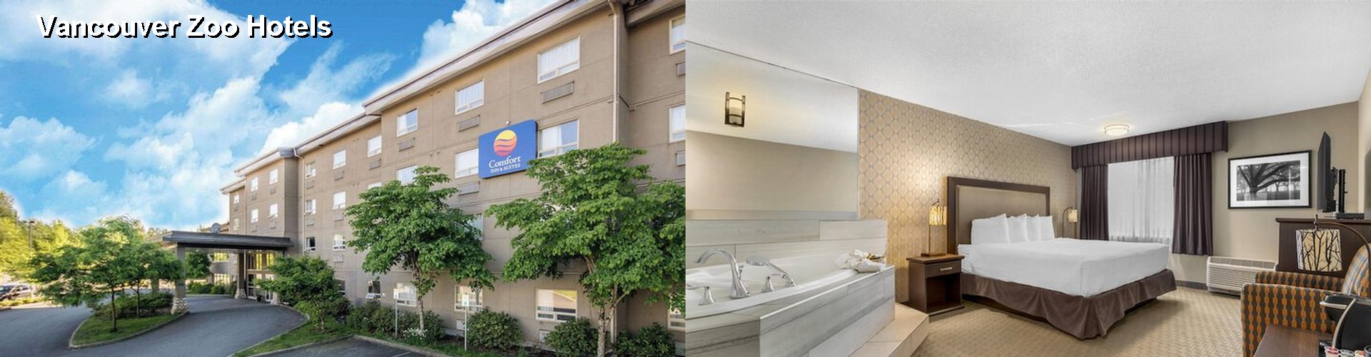 5 Best Hotels near Vancouver Zoo