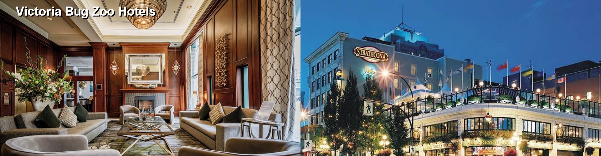 5 Best Hotels near Victoria Bug Zoo