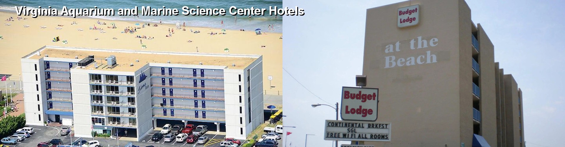 2 Best Hotels near Virginia Aquarium and Marine Science Center