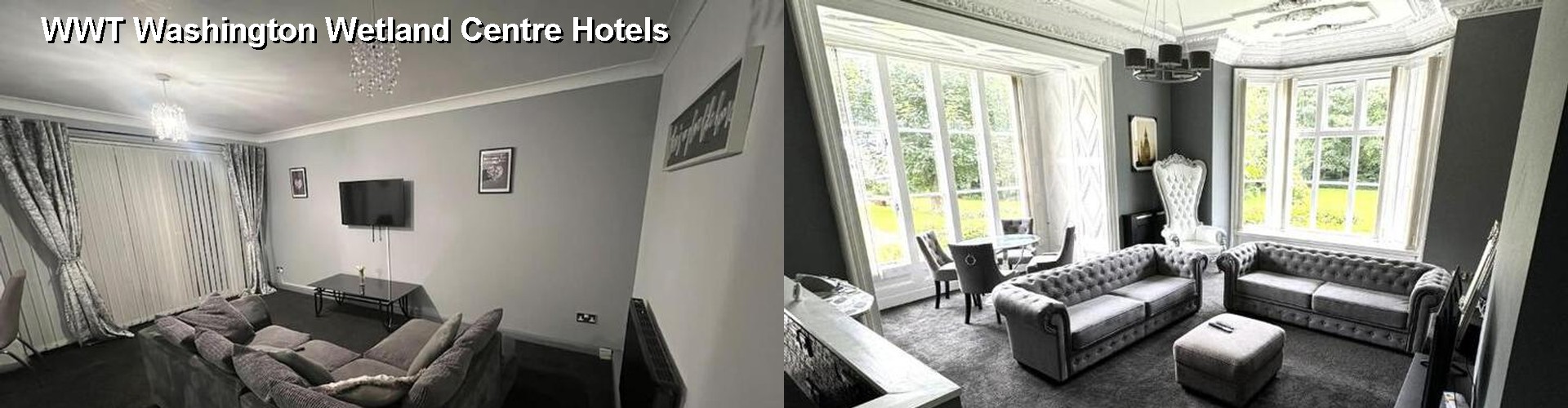 4 Best Hotels near WWT Washington Wetland Centre