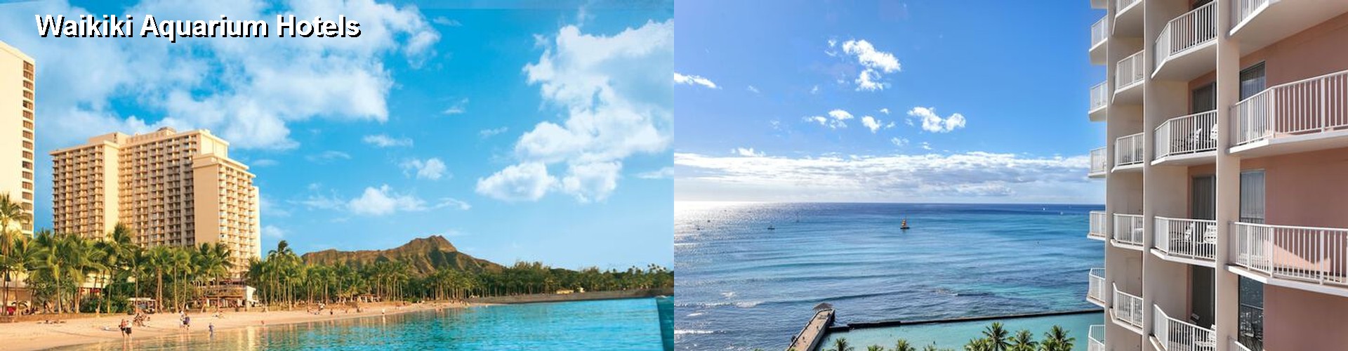 5 Best Hotels near Waikiki Aquarium