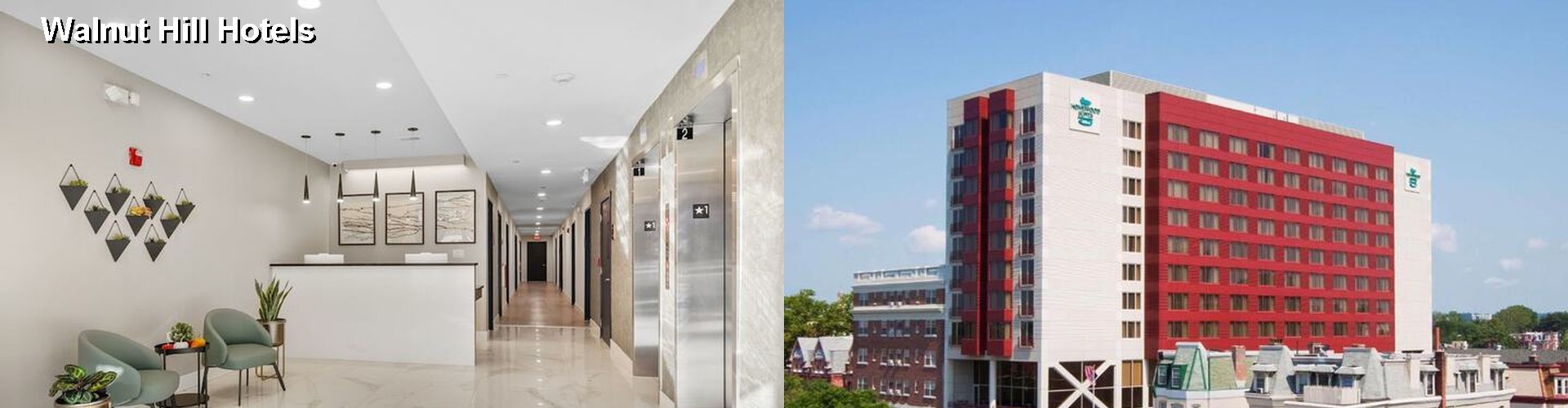 5 Best Hotels near Walnut Hill