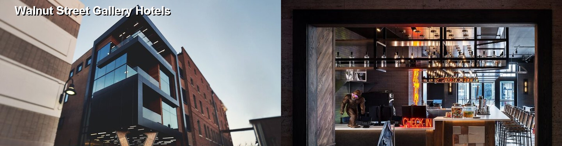 5 Best Hotels near Walnut Street Gallery