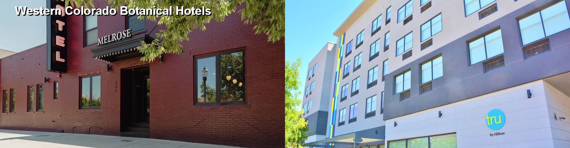 5 Best Hotels near Western Colorado Botanical