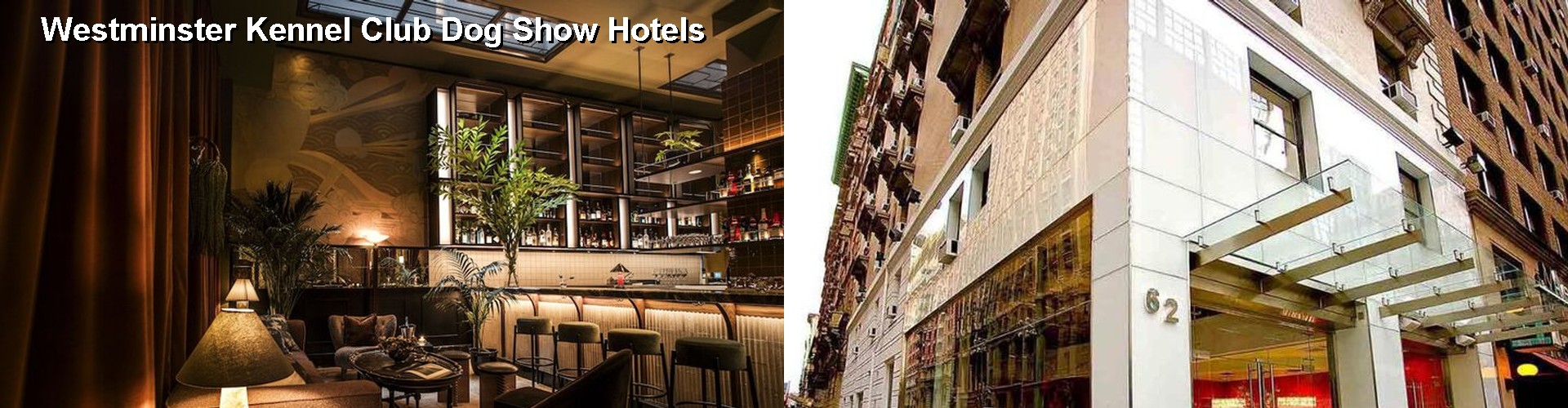 5 Best Hotels near Westminster Kennel Club Dog Show