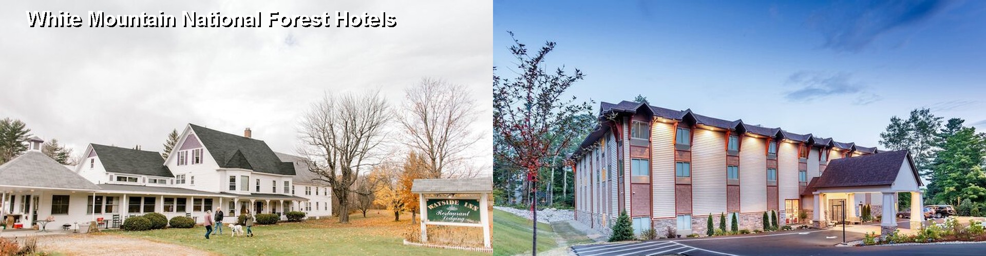 5 Best Hotels near White Mountain National Forest