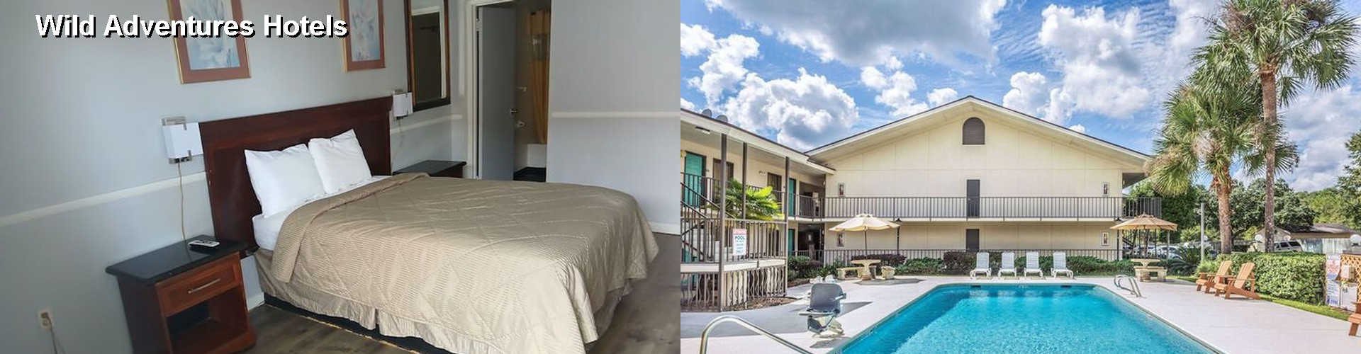 3 Best Hotels near Wild Adventures