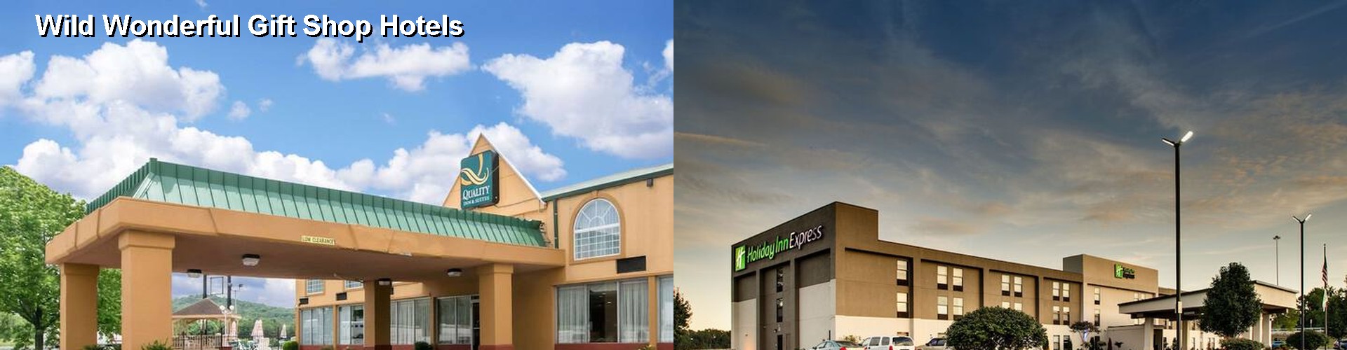 5 Best Hotels near Wild Wonderful Gift Shop