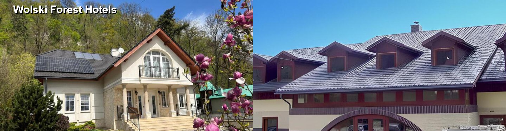 3 Best Hotels near Wolski Forest
