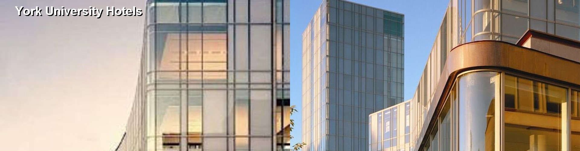 4 Best Hotels near York University