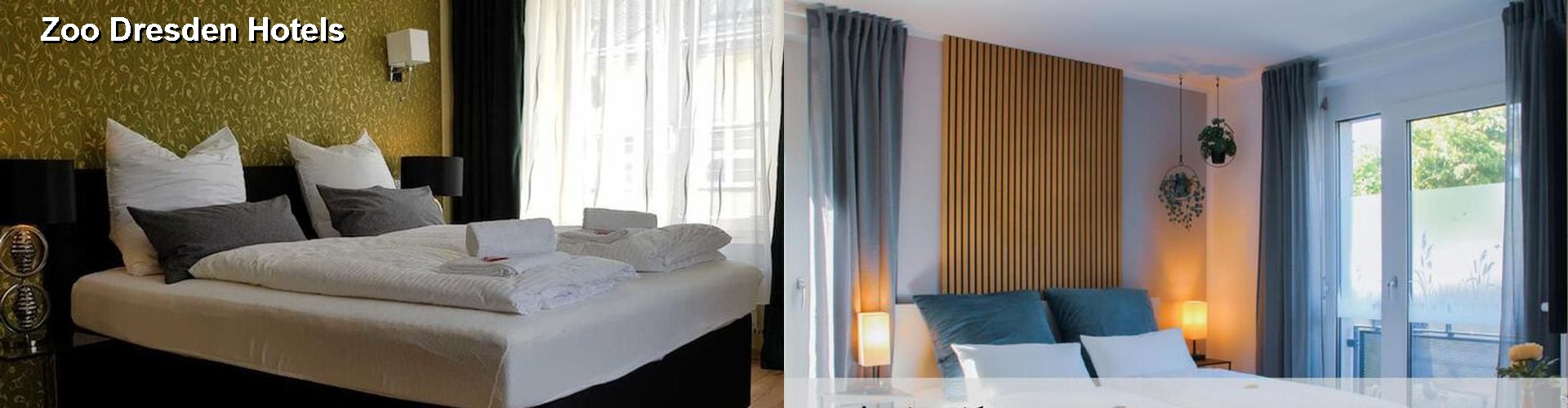 5 Best Hotels near Zoo Dresden
