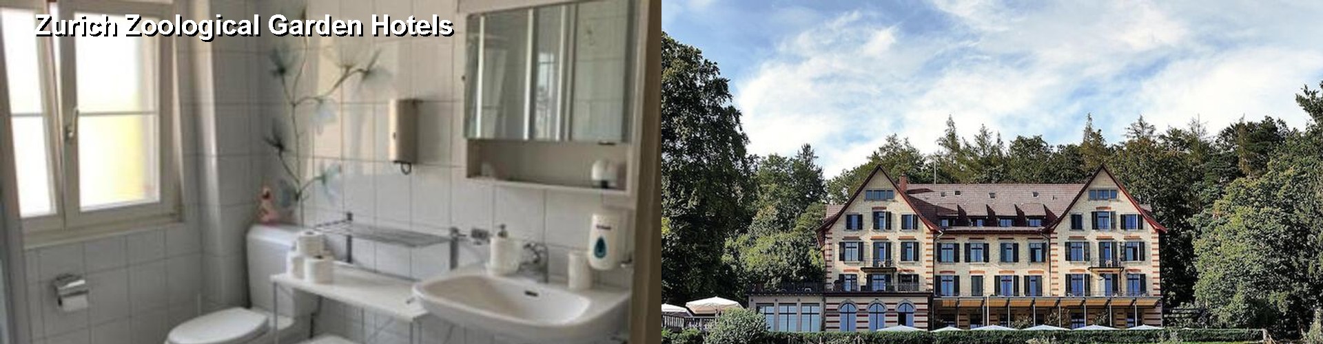 5 Best Hotels near Zurich Zoological Garden