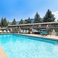 Pool image of Best Western Driftwood Inn