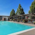 Pool image of Best Western Horizon Inn