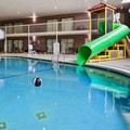 Swimming pool at Best Western Kelly Inn