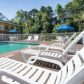 Pool image of Best Western Of Walterboro