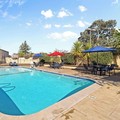 Pool image of Best Western Petaluma Inn