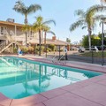 Pool image of Best Western Plus Hill House