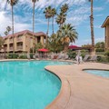 Pool image of Best Western Plus Palm Desert Resort