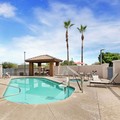 Swimming pool at Best Western Plus Surprise-Phoenix NW